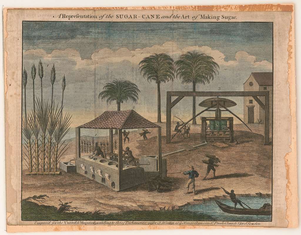 Colonial sugar cane manufacturing